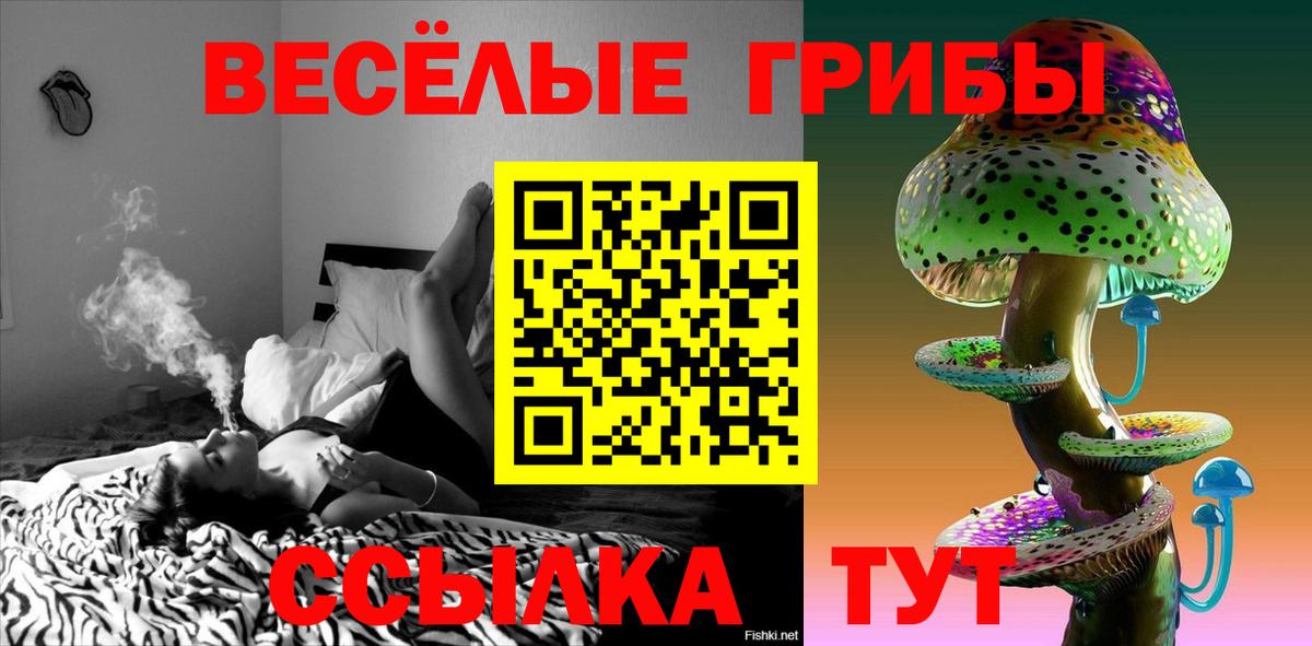 Галлюциногенные грибы Psilocybe  Галлюциногенные грибы ЛСД  Тверь  Вход с VPN 
