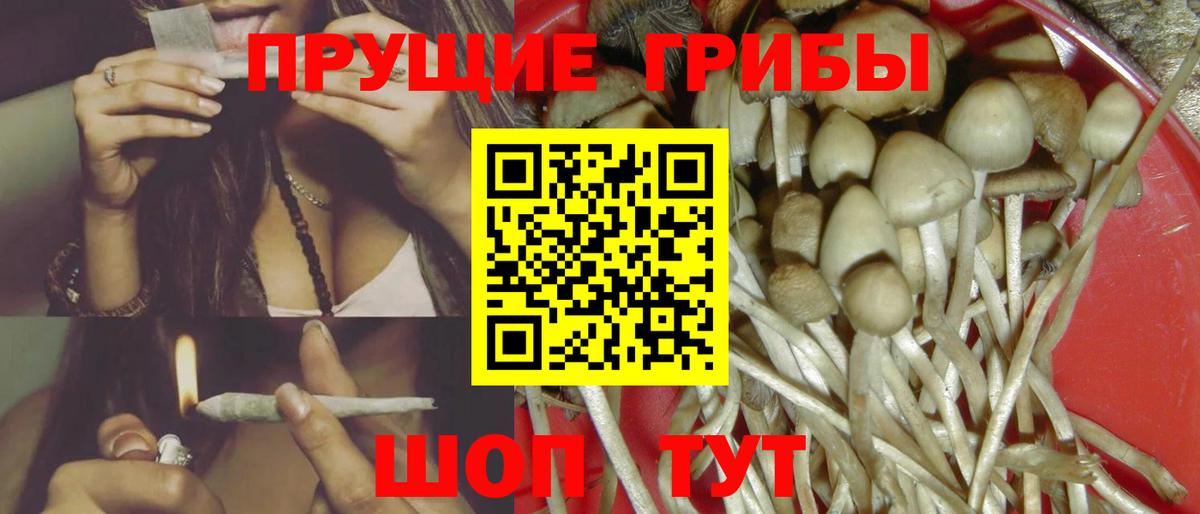 Галлюциногенные грибы Magic Shrooms Тверь